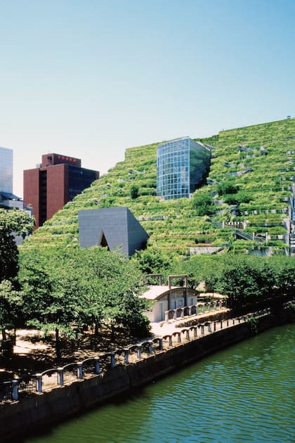 Su célebre Acros, un ecosistema artificial en pleno centro de Fukuoka, Japón