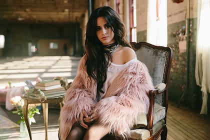 Con más de 800 millones de reproducciones en Spotifky de la canción "Havana", la cantante de origen cubano Camila Cabello rompió records en la plataforma de streaming