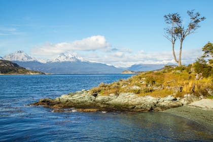 Su fauna incluye aves cerca del agua -como la caranca, el albatros ceja negra y el quetro- y en los bosques -la cachaña, el carpintero gigante y el zorzal patagónico-, además de mamíferos como el guanaco o el zorro colorado fueguino