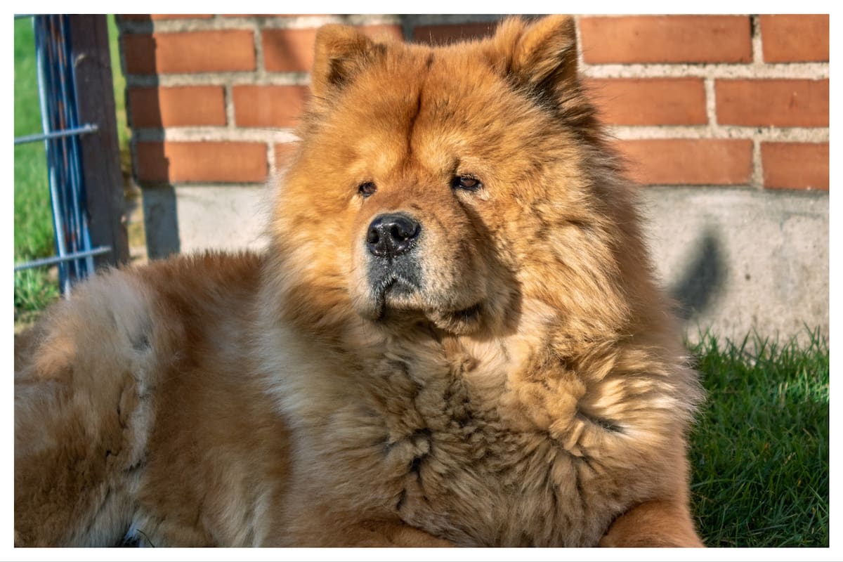 Su historia se remonta a más de 2000 años en China