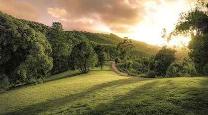 Su jardín botánico fue diseñado por el paisajista William Stockdale. El recorrido sinuoso representa un viaje alrededor del mundo.