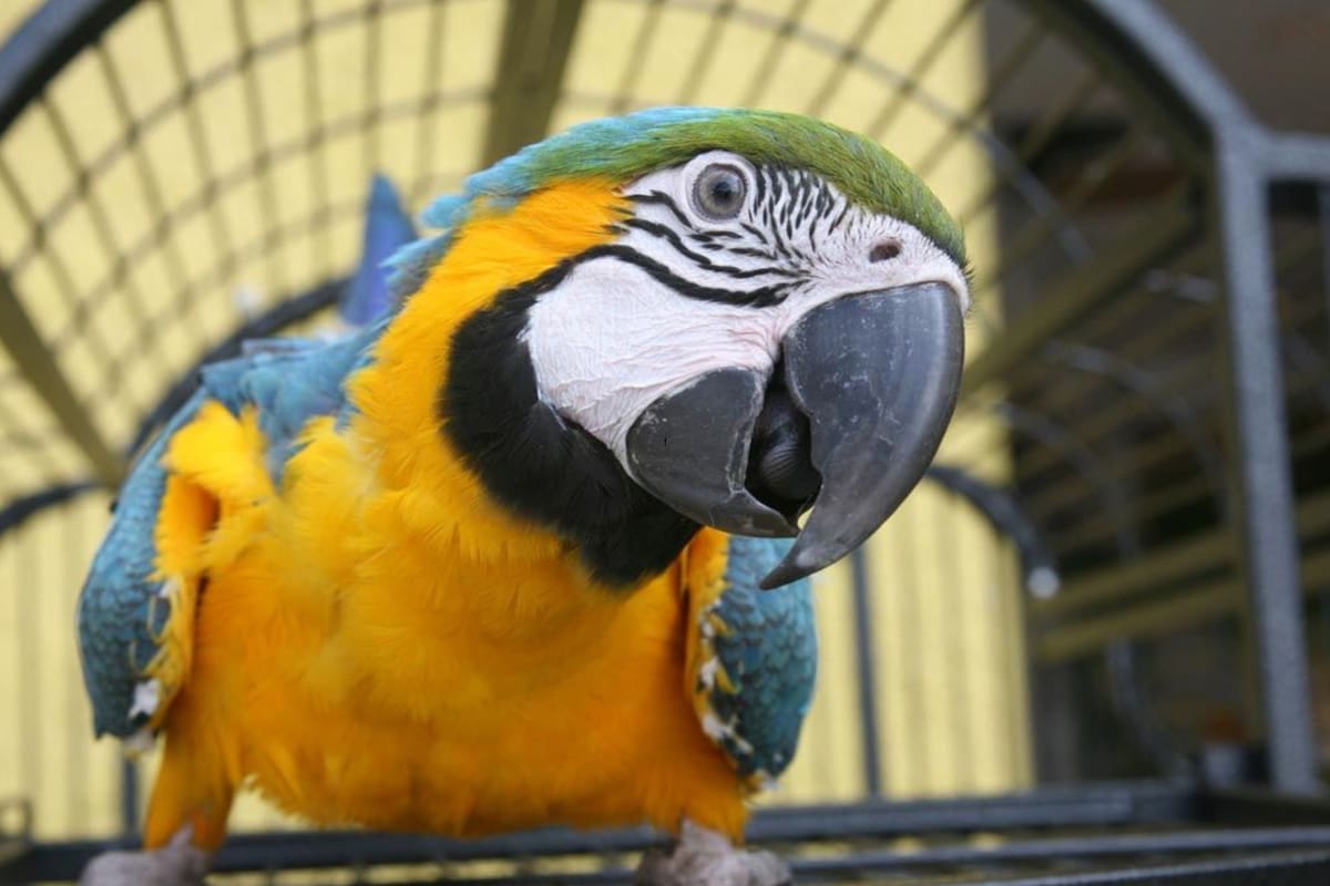 Su loro repitió una frase que dejó en evidencia a su esposa