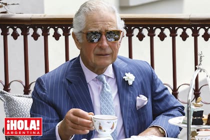 Su Majestad acaba de cumplir 75 años: sopló las velitas el 14 de noviembre.