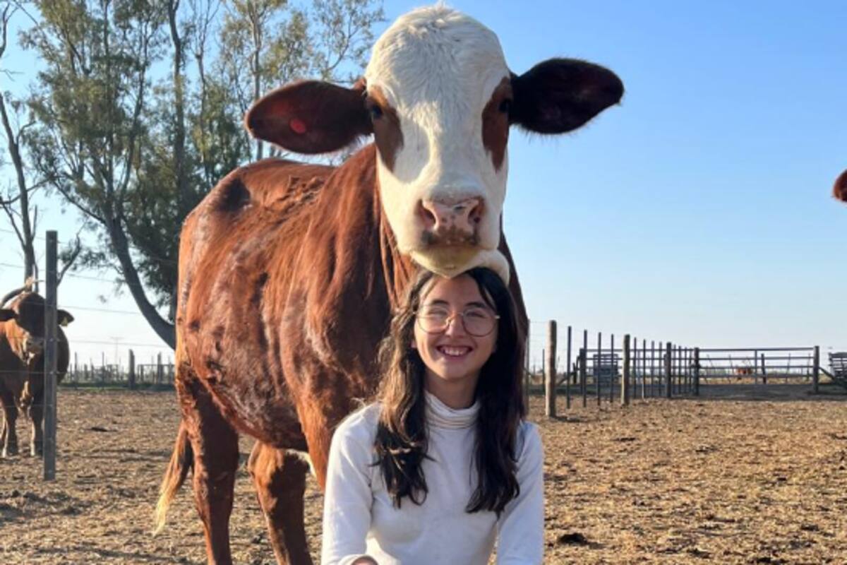 Su padre relata que Matilde tiene una enorme atracción con las vacas, que se amansan con ella