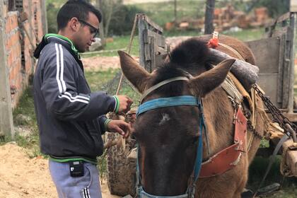 Su papá y sus hermanos trabajan repartiendo materiales de construcción con un carro tirado por un caballo