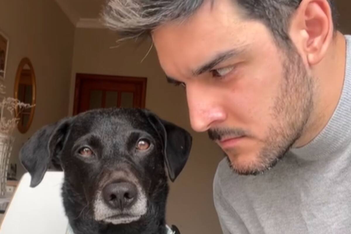 Su perra escucha una serie de palabras y se enloquece enseguida