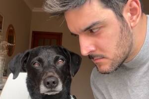 Su perra escucha una serie de palabras y se enloquece enseguida