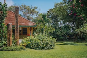 Su vecino no lo deja usar tranquilo el jardín de su casa