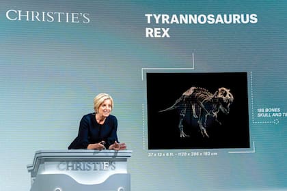 Subasta récord. El esqueleto del T. rex “Stan” se subastó a la par de obras de Picasso, Magritte y Cézanne.