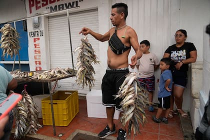 "Subienda", la migración de peces que pescadores artesanales convirtieron en tradición en Colombia