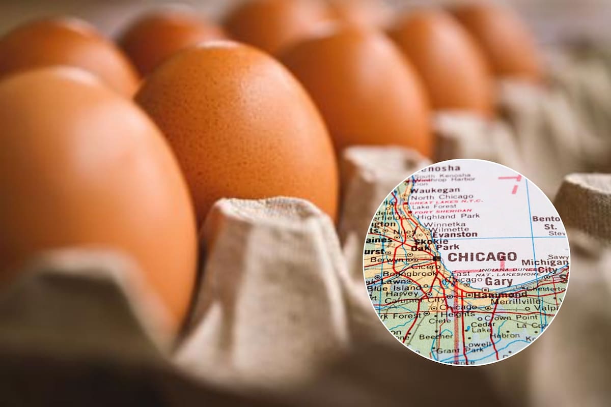 Subió el precio de los huevos en Chicago