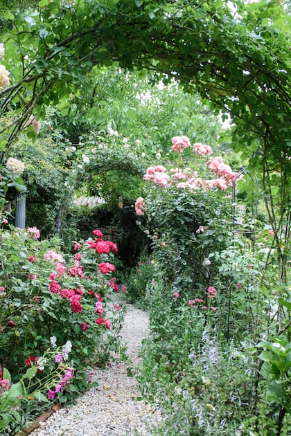 Sucesión de arcos que remarcan un sendero entre las rosas.