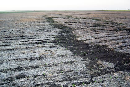 Suelos con erosión