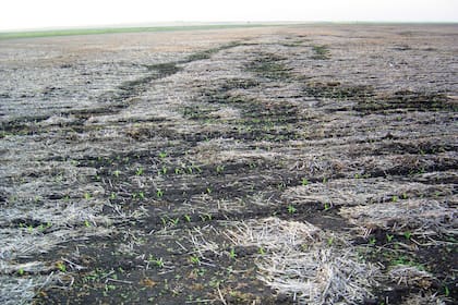Suelos con erosión
