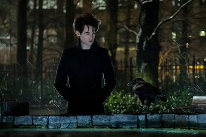 Sueño (Tom Sturridge)