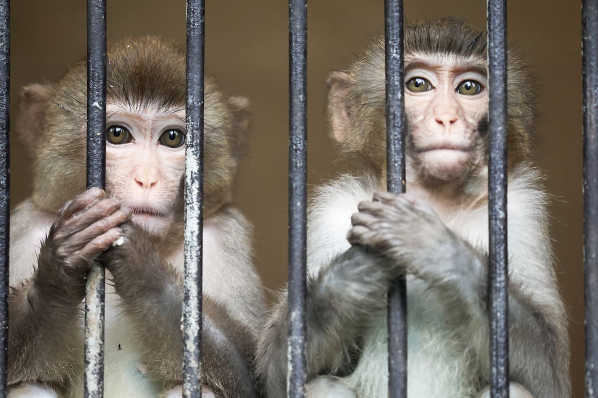 Sujumi, Georgia. Edición fotográfica de Jesica Rizzo