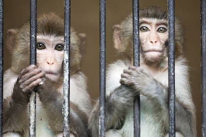 Sujumi, Georgia. Edición fotográfica de Jesica Rizzo