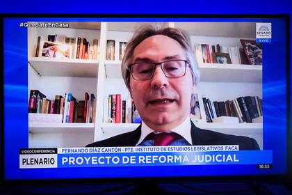 "Este proyecto va en contra de lo que propone", opinó Díaz Cantón