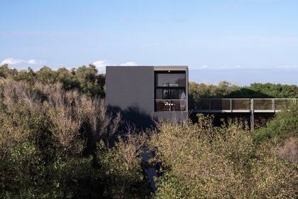 Sumergida en el bosque y apoyada en el médano, la vivienda interactúa con ambas partes.