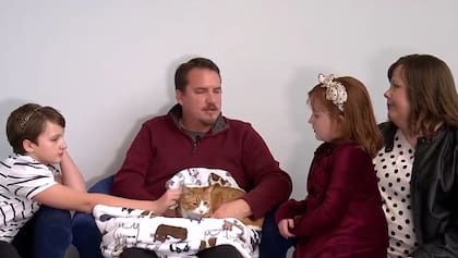 Sunny-Loo, la gata que se perdió en una mudanza y preocupó a toda una familia