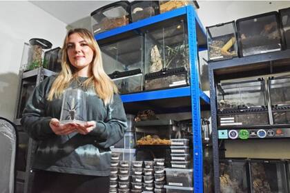 Superó su miedo a las arañas y ahora tiene un cuarto con cientos de ellas, incluso tarántulas venenosas.