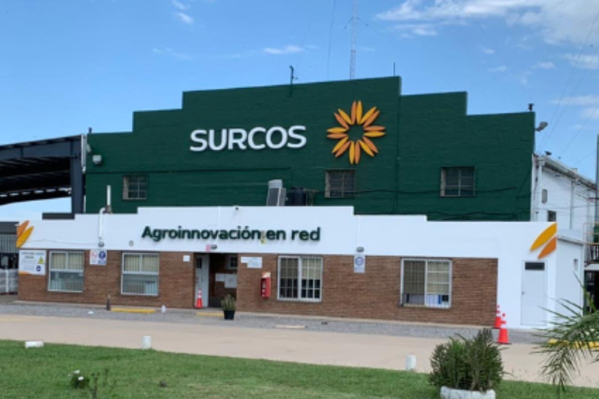 Surcos