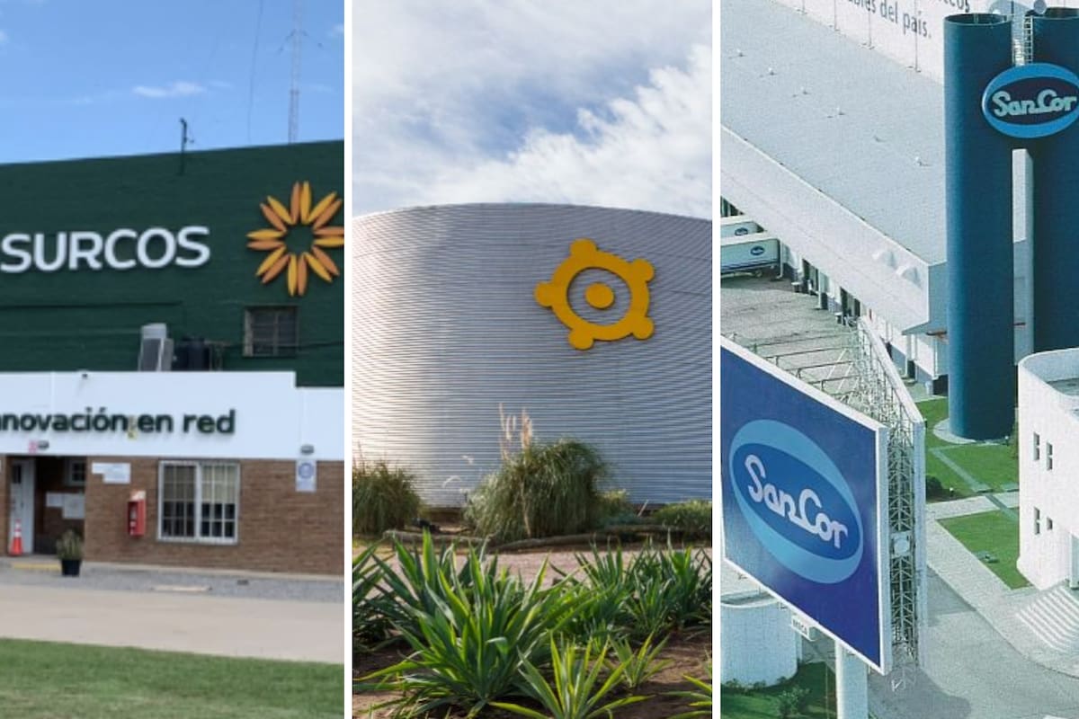 Surcos, Los Grobo y SanCor: diversos factores decisivos las llevaron a concurso de acreedores