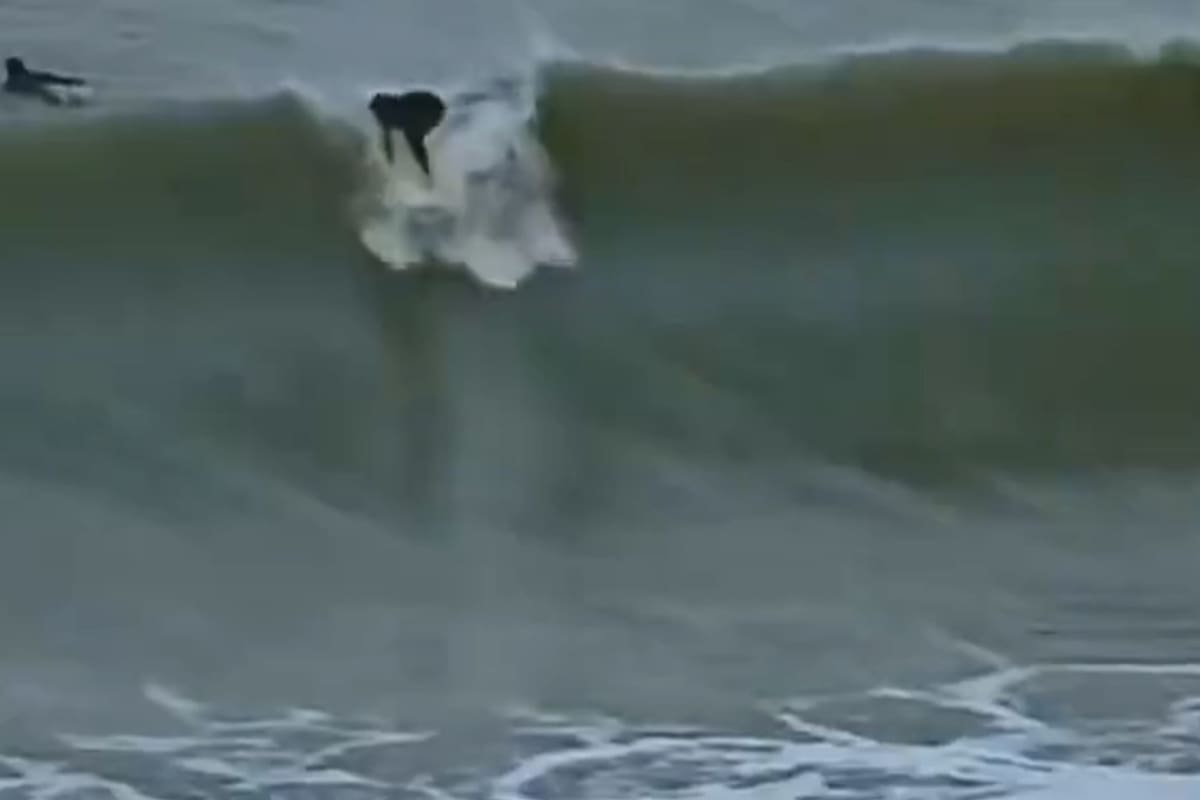 Surfistas desafiaron olas de hasta seis metros en medio del temporal en Mar del Plata