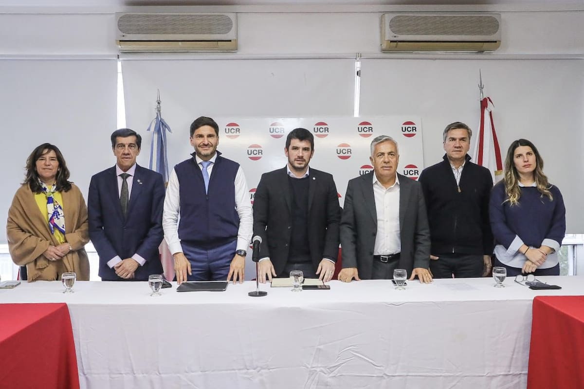 Surgen diferencias en la mesa nacional de la UCR por la estrategia electoral para 2027