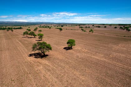 surrealistic view in a field in Ascochinga, Cordoba, Argentina