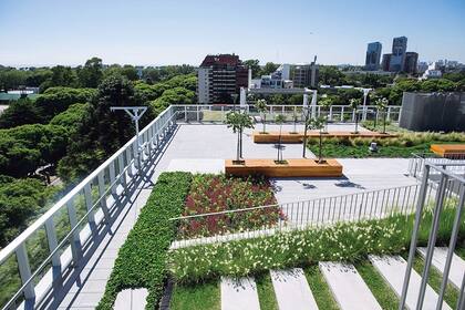 Pasto, diversas especies de plantas y hasta árboles fueron incluidos en esta terraza