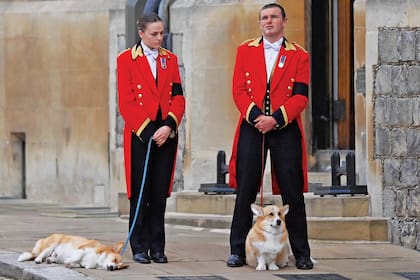 Sus amados corgies, Sandy y Muick, también la despidieron.
