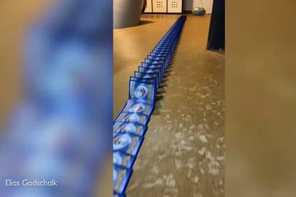 Sus recorridos incluyen fichas de dominó, piezas de madera, cartas de Pokémon e incluso pequeñas piezas de plástico y abarcan todas las estancias de la casa