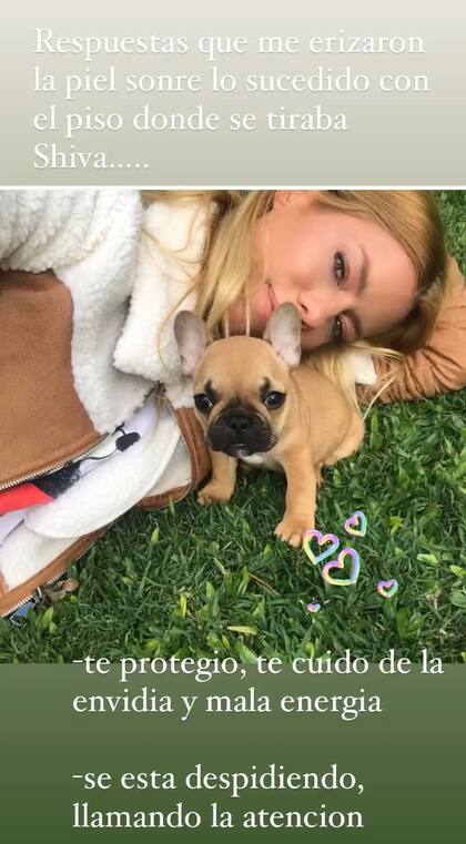 Sus seguidores le dijeron que su perrita la protegió.