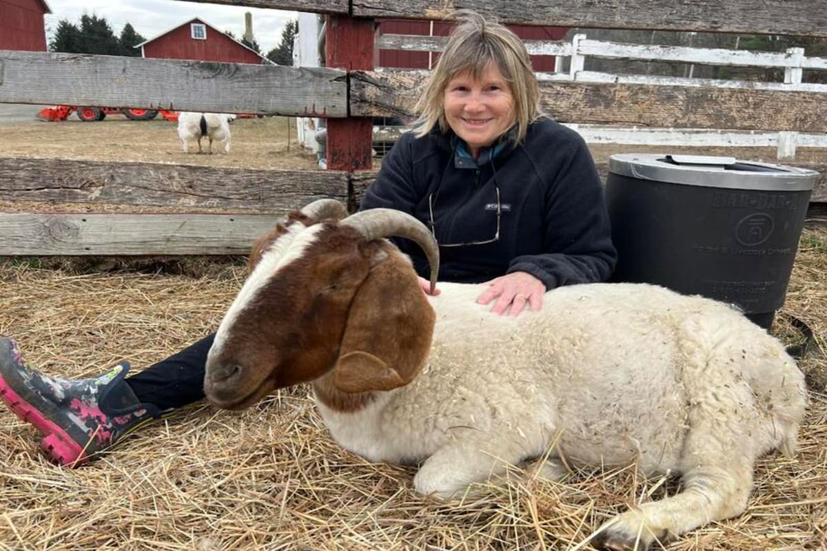 Susan Denis es voluntaria en la Southampton Animal Shelter Foundation y practica Jin Shin Jyutsu, un arte de curación con animales rescatados