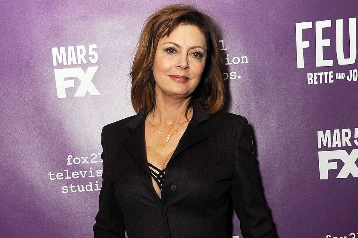 Susan Sarandon tenía previsto participar en un acto político el fin de semana, pero debió cancelarlo debido al accidente