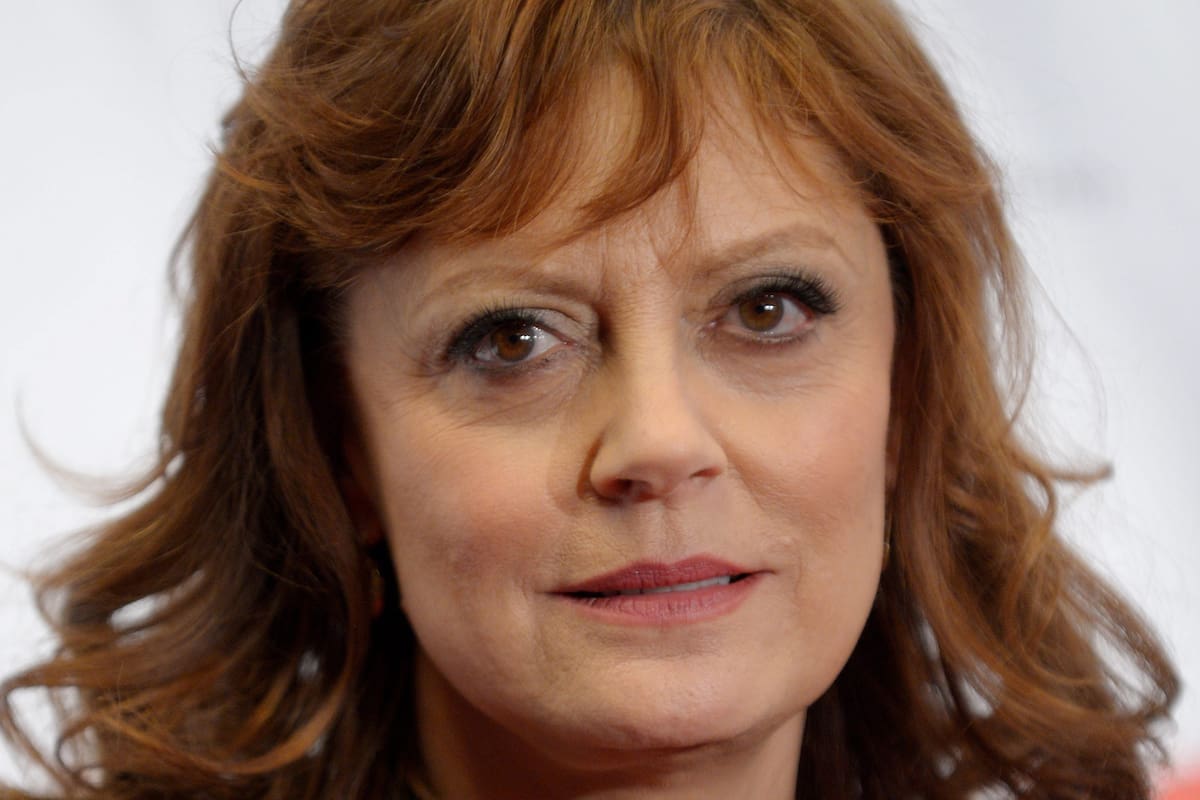 Susan Sarandon tenía previsto participar en un acto político el fin de semana, pero debió cancelarlo debido al accidente