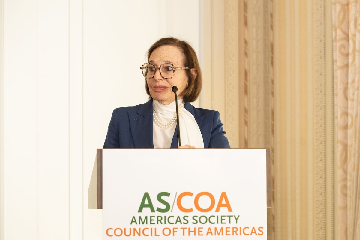 Susan Segal fue elegida presidenta y CEO de Americas Society y Council of the Americas en 2003, después de trabajar en el sector privado en América Latina por más de 30 años; previamente, fue socia del grupo Chase Capital, la banca minorista del JP Morgan, donde se enfocó en el manejo de la mesa de bonos de mercados emergentes