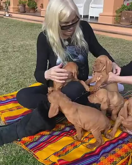 Susana Giménez junto a los cachorros de su perra Rita