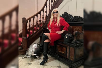 Susana Giménez se llevó todas las miradas en su última publicación (Foto Instagram @gimenezsuok)