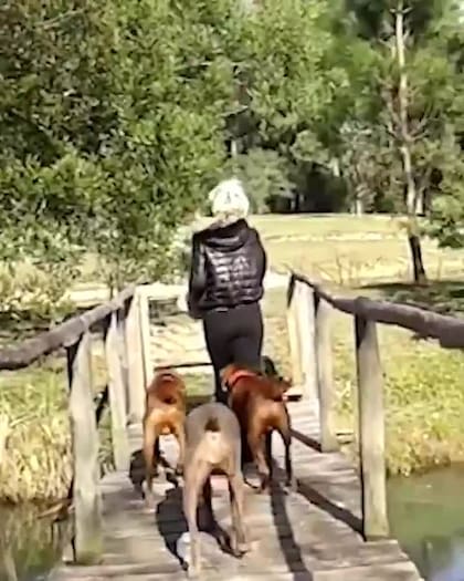 Susana Giménez y sus perros pasando los días en La Mary - Fuente: Instagram