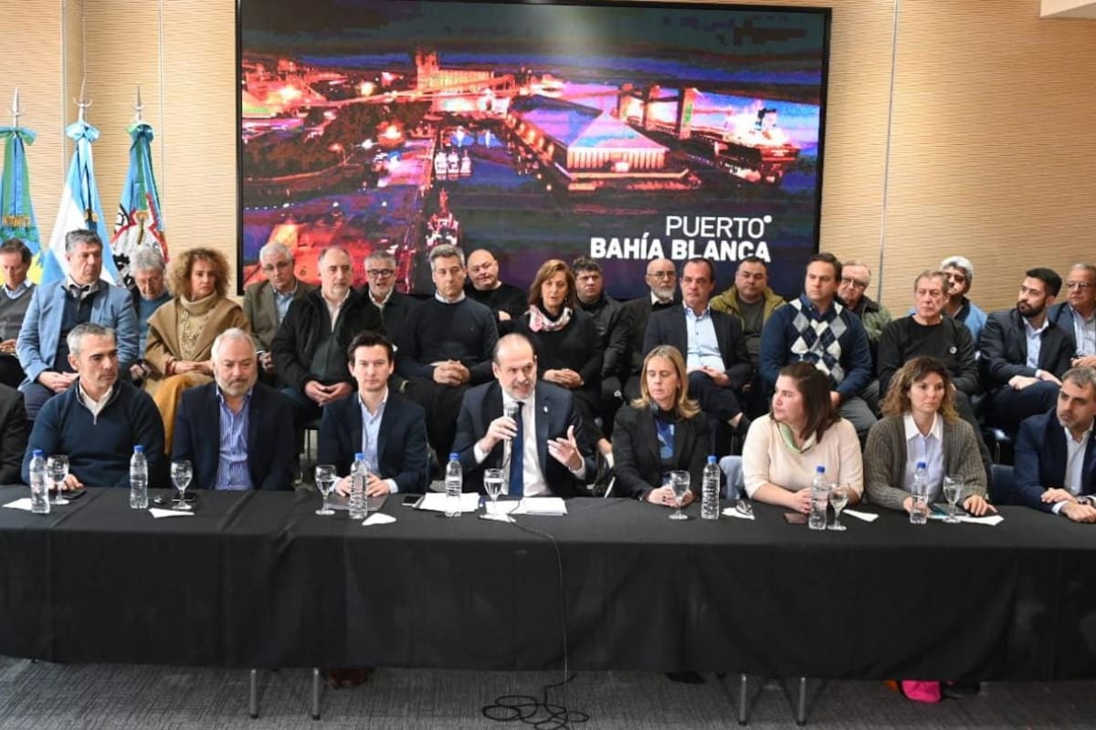 Susbielles, en la conferencia de prensa en la que defendió la instalación de la planta de GNL en Bahía Blanca