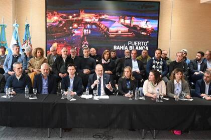 Susbielles, en la conferencia de prensa en la que defendió la instalación de la planta de GNL en Bahía Blanca