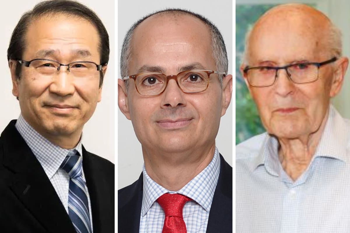 Susumu Kitagawa, Omar M. Yaghi y Richard Robson, ganadores del Nobel