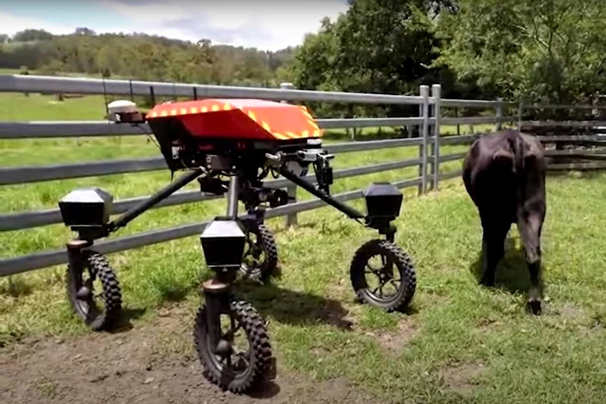 Swagbot, el robot vaquero que desarrollaron en Australia