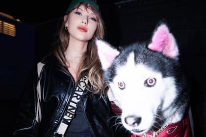 Swaggy Wolfdog, el husky, "swiftie" de por vida. Fotos de @swagrman en Instagram