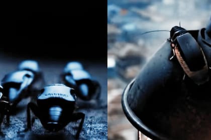 SWARM Biotactics apuesta por cucarachas con mochilas para tareas de vigilancia y reconocimiento