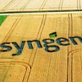 Cayeron un 5% las ventas globales y la empresa advirtió sobre dificultades del agro en América Latina