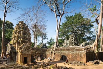 Ta Prohms, templo en Angkor Wat, Camboya.