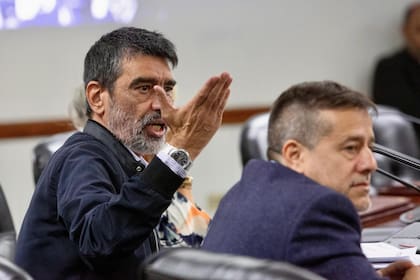 Taihlade y Recalde en el plenario del Consejo de la Magistratura